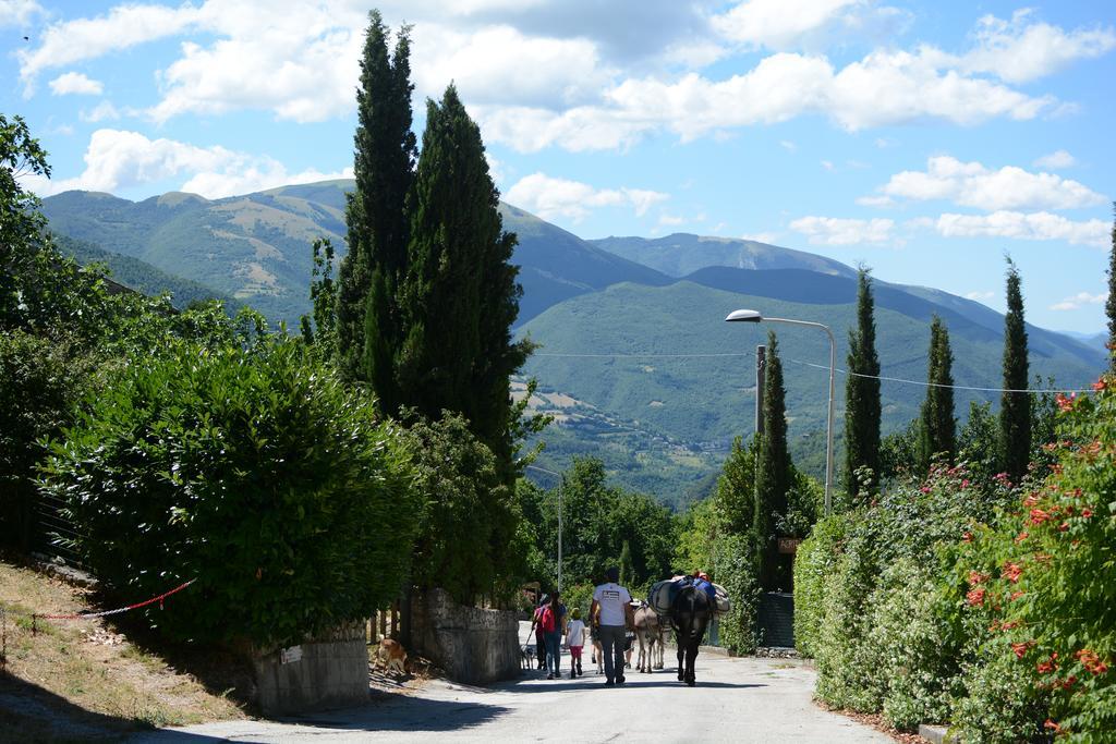 Campagna In Compagnia Vila Vallo di Nera Exterior foto